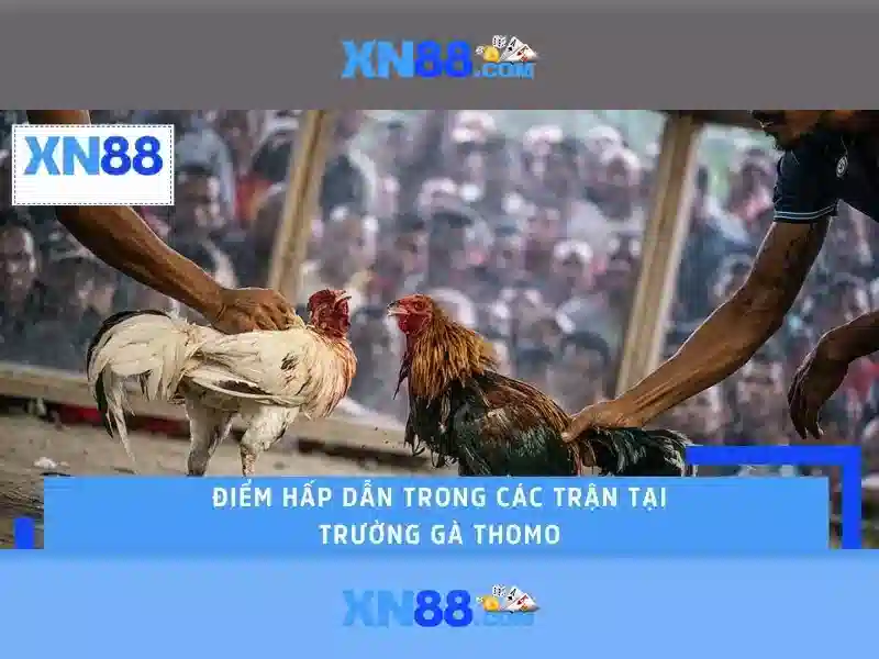 Lịch sử và phát triển