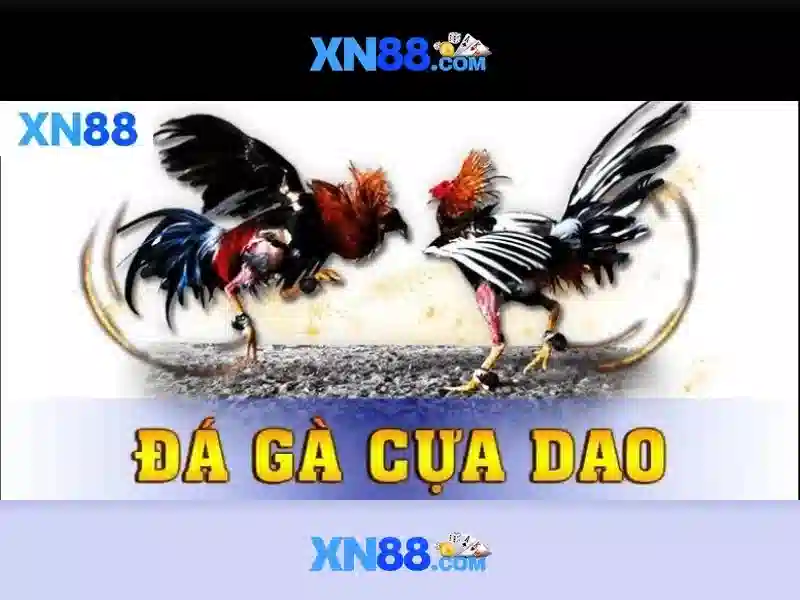 xn88 có uy tín không: đánh giá, trải nghiệm và tin cậy Giao diện nhà cái hoàn hảo