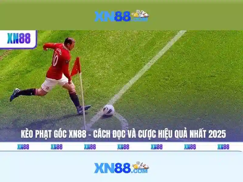<!--IMG_PLACEHOLDER alt>An toàn và khuyến nghị cho người mới-->