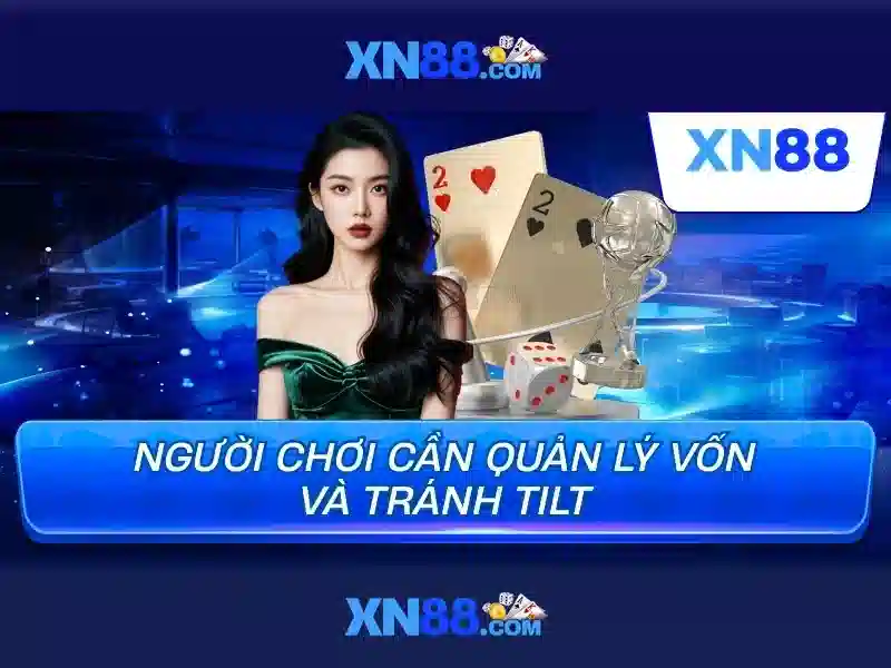Trải nghiệm người dùng và phản hồi từ cộng đồng