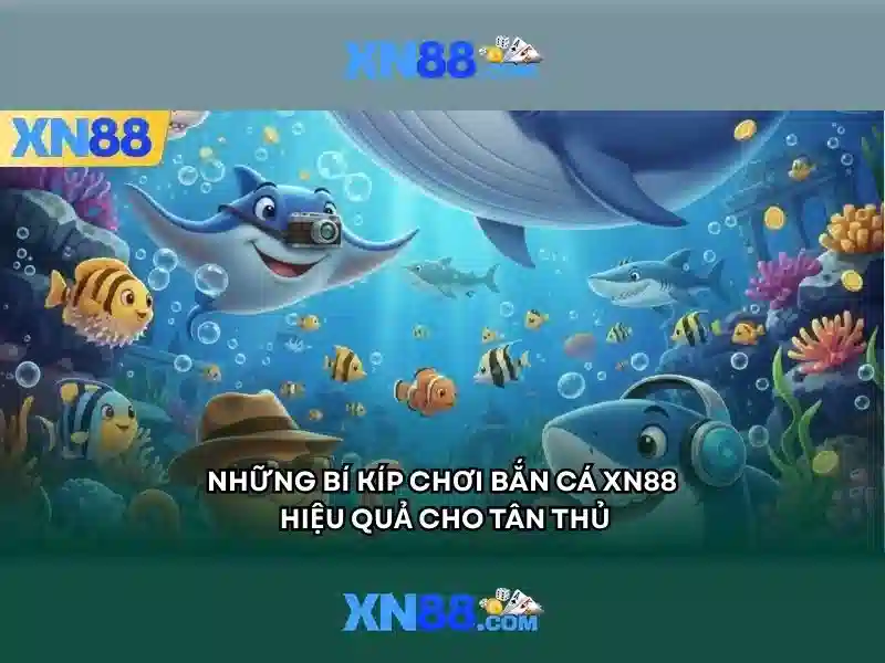xn88: Nền tảng cược trực tuyến và đánh giá