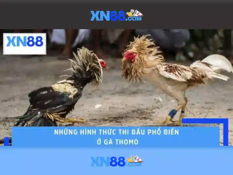 Các trò chơi và chức năng chính