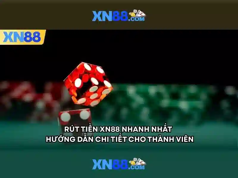 Chính sách cập nhật và hỗ trợ