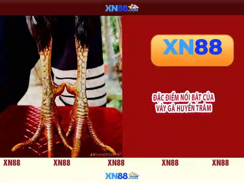 xn88: Nền tảng giải trí trực tuyến đáng tin cậy