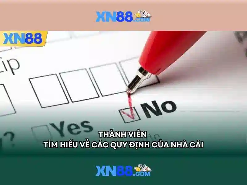 XN88: Tổng quan và những điều cần biết