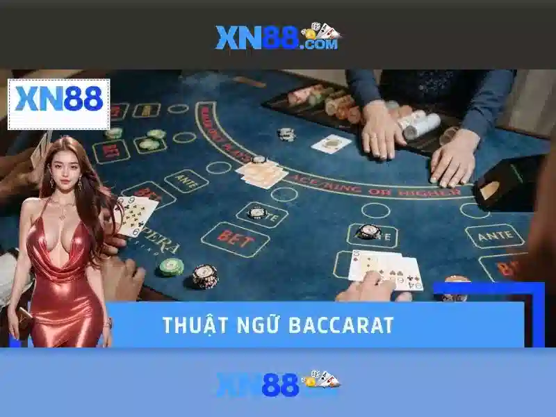 Lịch sử và uy tín của xn88