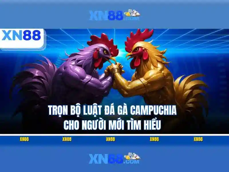 xn88: Nền tảng giải trí và cược trực tuyến tại Việt Nam
