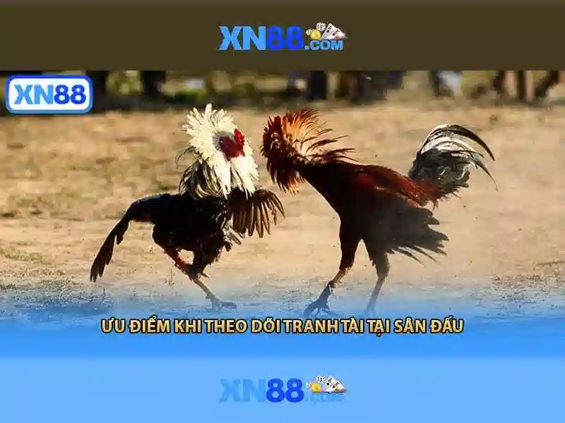 Xn88: Khám phá nền tảng và trải nghiệm