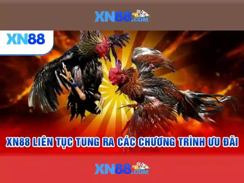 xn88 - Tổng quan về nền tảng cược và giải trí Giao diện nhà cái hoàn hảo