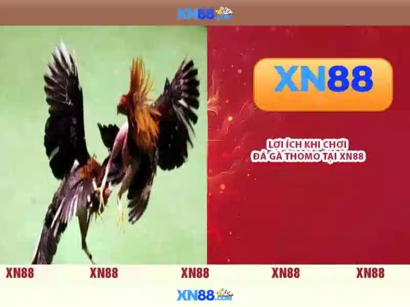  xn88 app – Chủ đề tổng quan và giá trị cốt lõi
