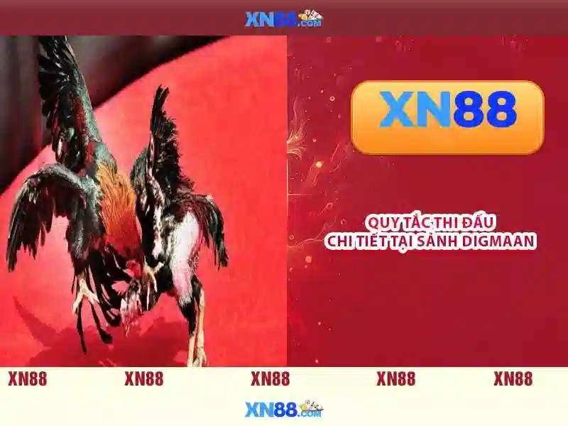 Giao diện nhà cái hoàn hảo