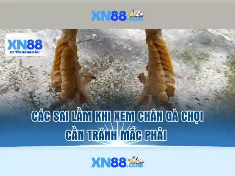 Tổng quan về xn88
