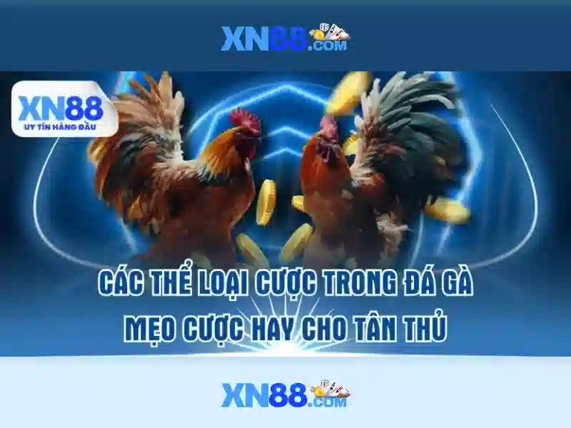 Hướng dẫn tham gia
