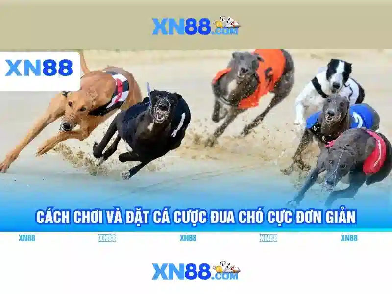 Các dịch vụ và trò chơi tại xn88