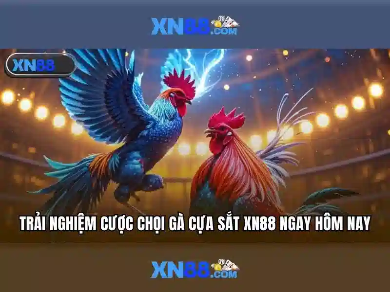 xn88 là gì: khám phá nền tảng, ứng dụng và trải nghiệm xn88 Giao diện nhà cái hoàn hảo