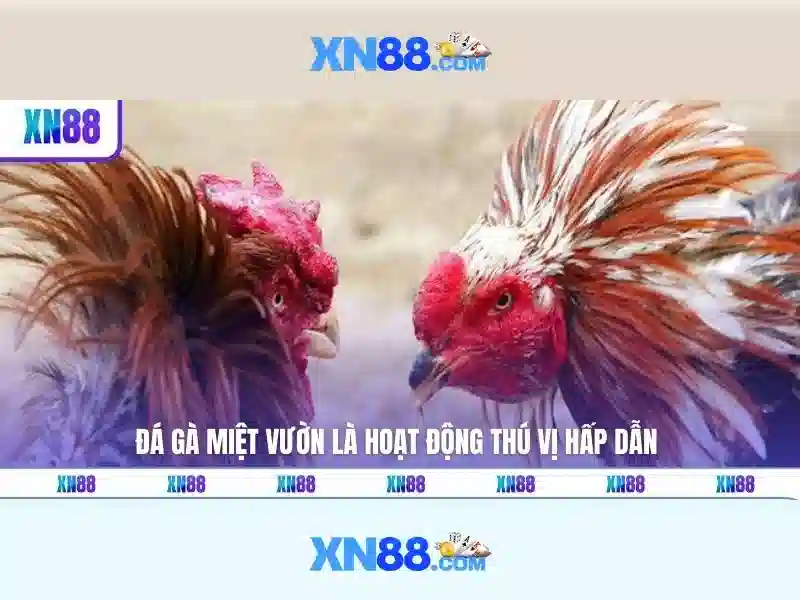 Giới thiệu về XN88