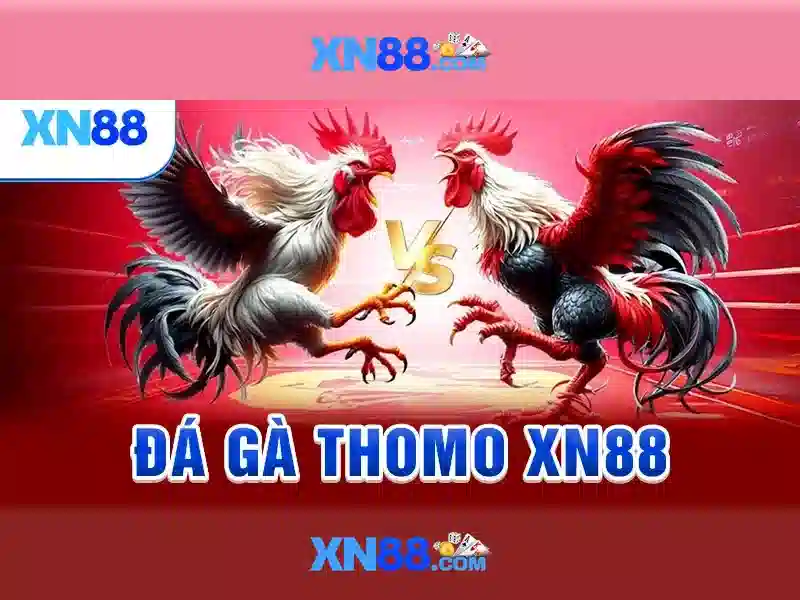 Giao diện nhà cái hoàn hảo