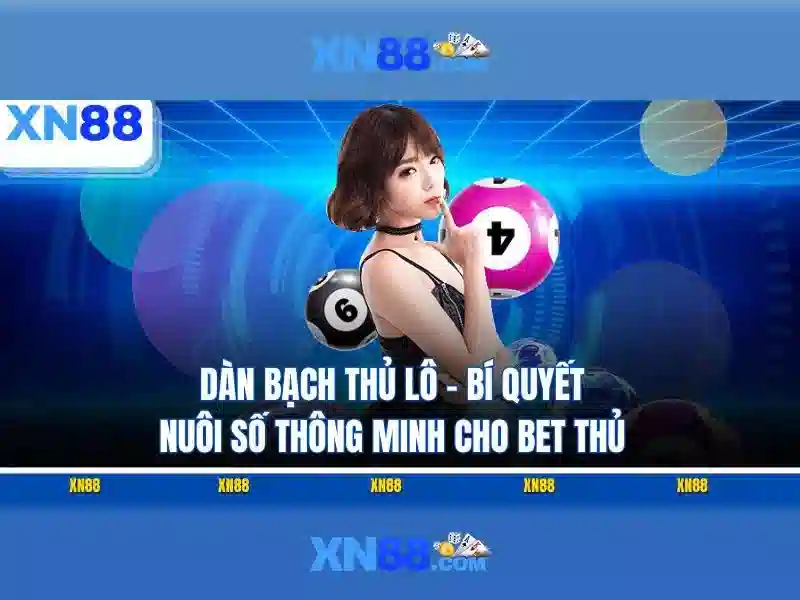 Casino và slot