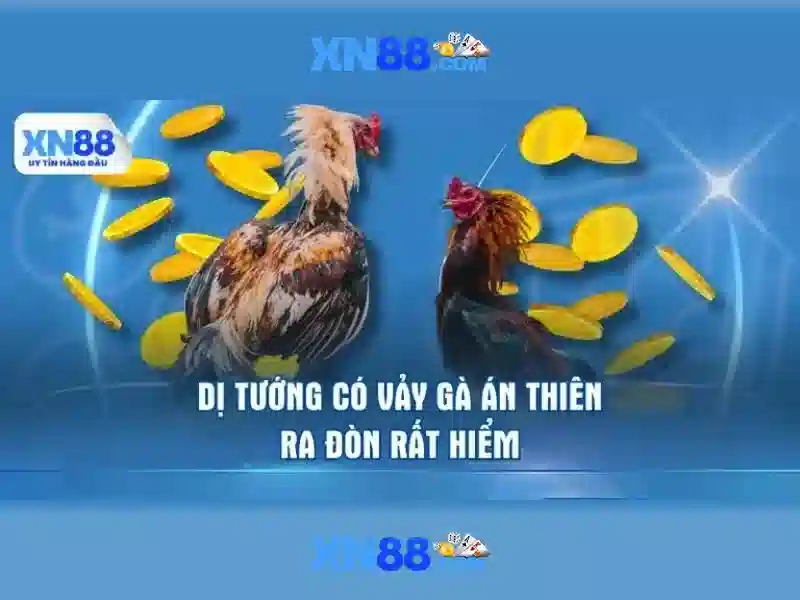 Giao diện nhà cái hoàn hảo
