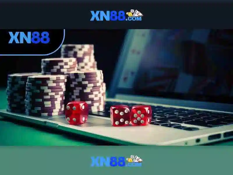 Lĩnh vực hoạt động của xn88