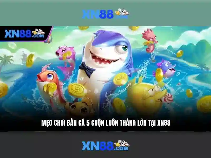 xn88: Một cái nhìn tổng quan về nền tảng trực tuyến