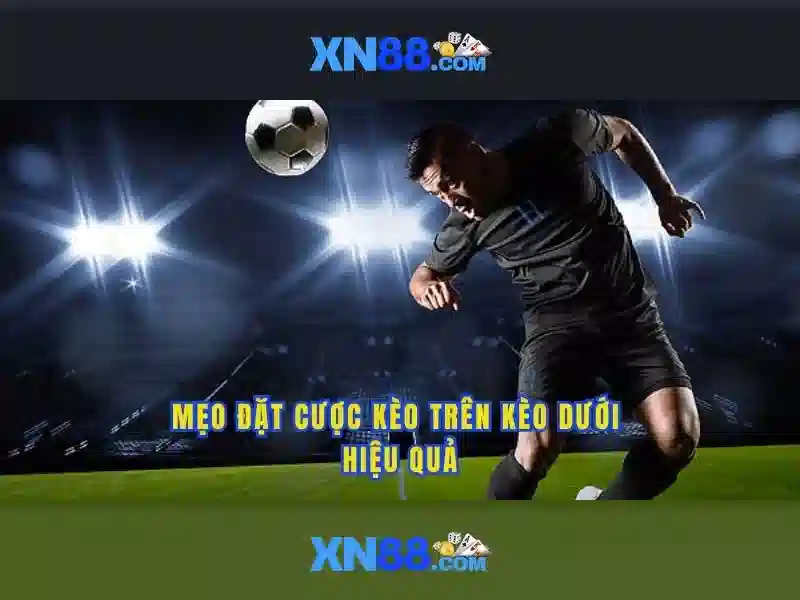 Công nghệ và bảo mật tại XN88<h4>Đối tác và cộng đồng</h4><p><span style=