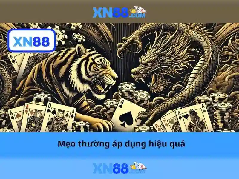 Các tính năng nổi bật của xn88