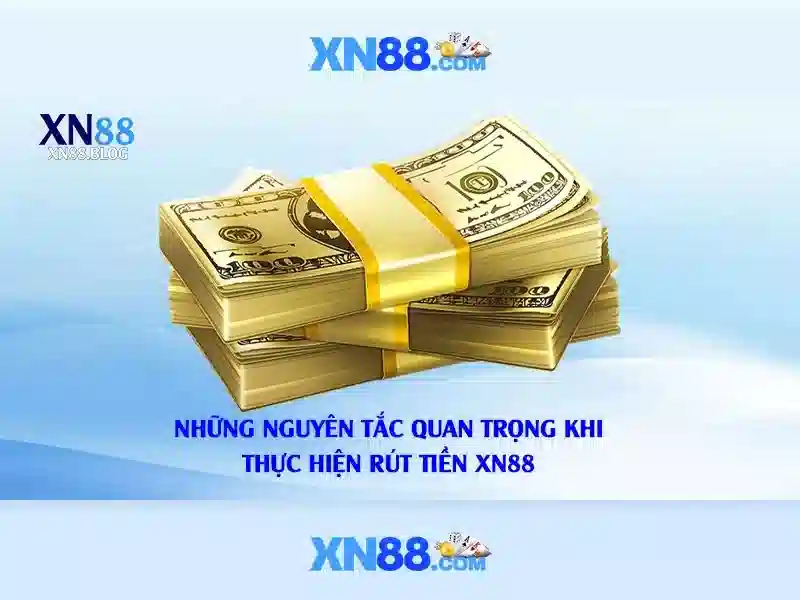 xn88: Đánh giá và hướng dẫn sử dụng
