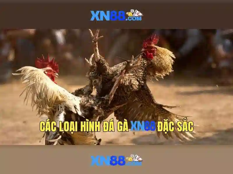 Nguồn gốc và sứ mệnh của xn88 tại app