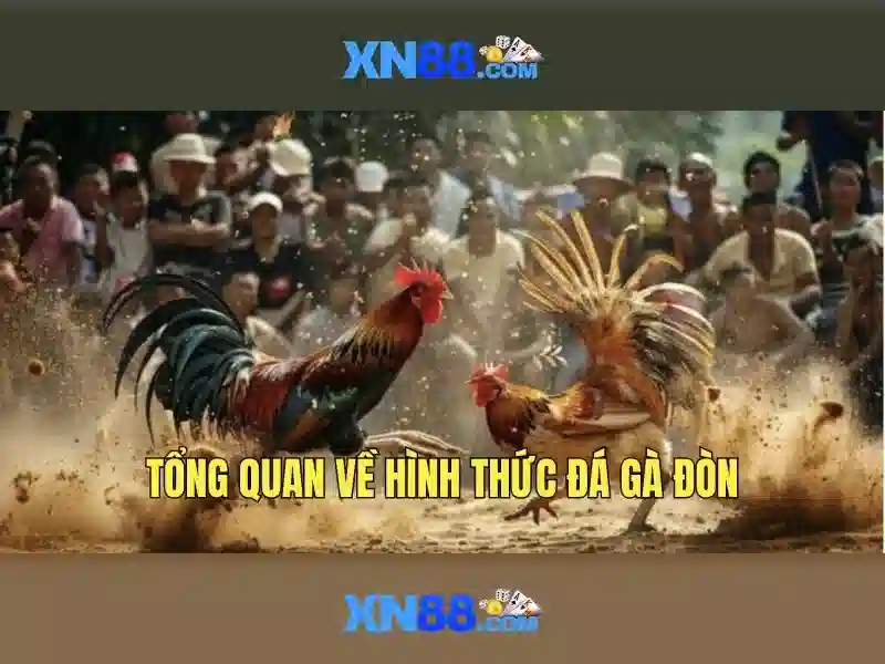 Độ tin cậy và an toàn