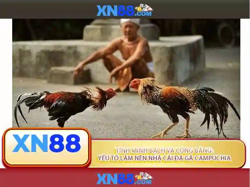 Giao diện nhà cái hoàn hảo