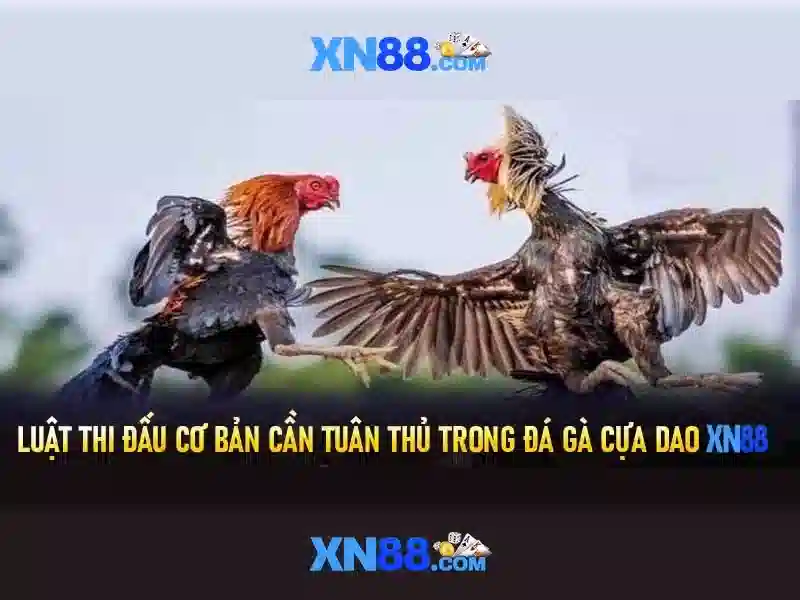 Khuyến mãi và thanh toán\n<p><span style=