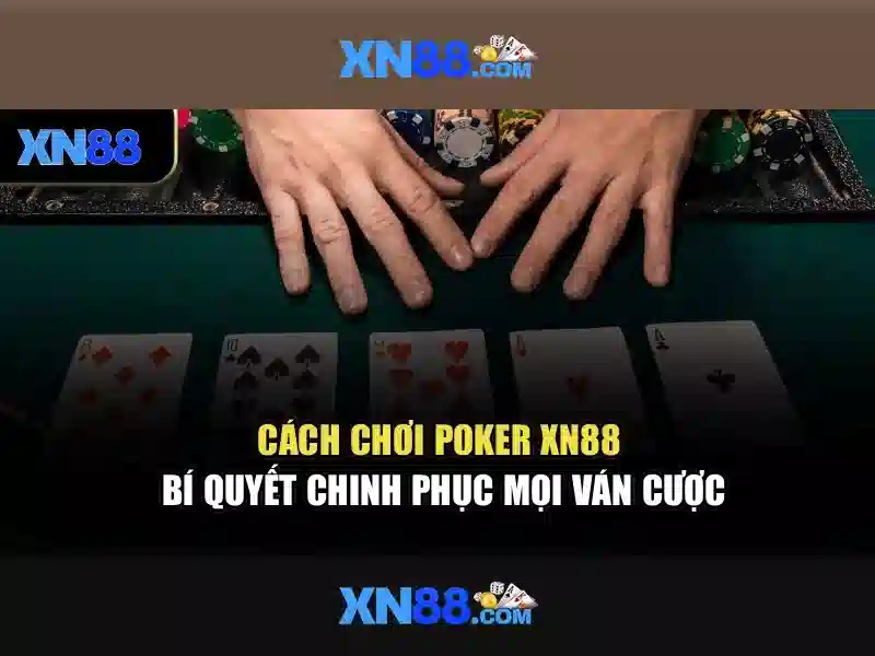 xn88: tổng quan và cái nhìn tổng quát về nền tảng cược trực tuyến