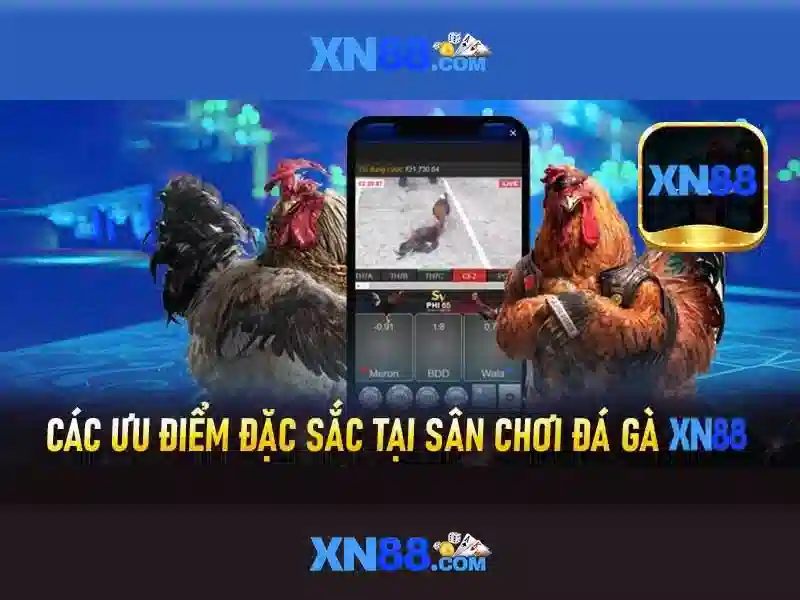 xn88: Nền tảng giải trí và cá cược trực tuyến uy tín