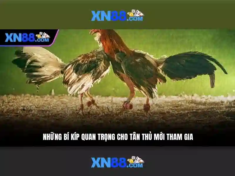 xn88: Nền tảng chơi game online tiên tiến