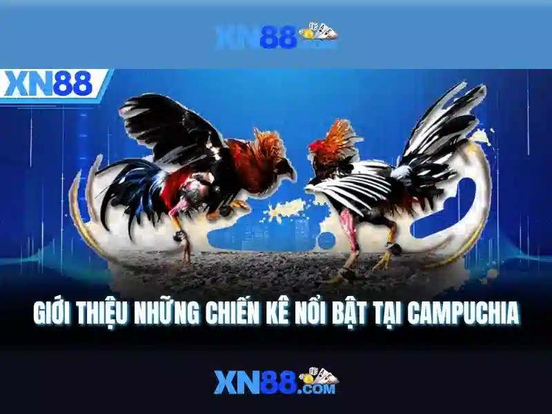 xn88: Nền tảng trò chơi trực tuyến và sự đổi mới
