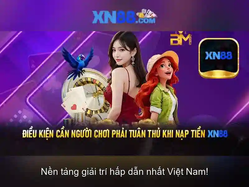 Cung cấp trò chơi và chức năng