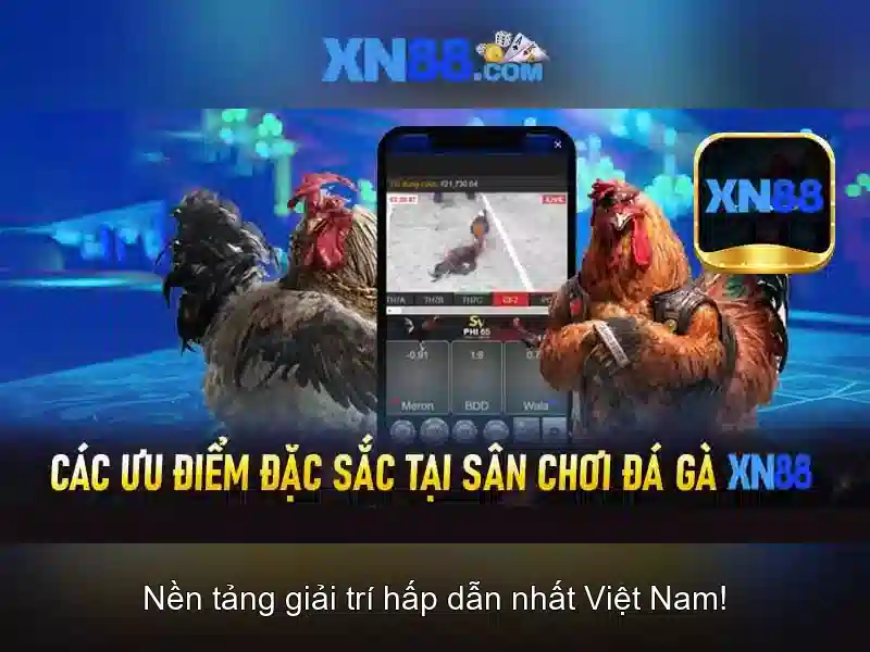 Lịch sử và sự phát triển<h>Trò chơi và dịch vụ</h><p><span style=