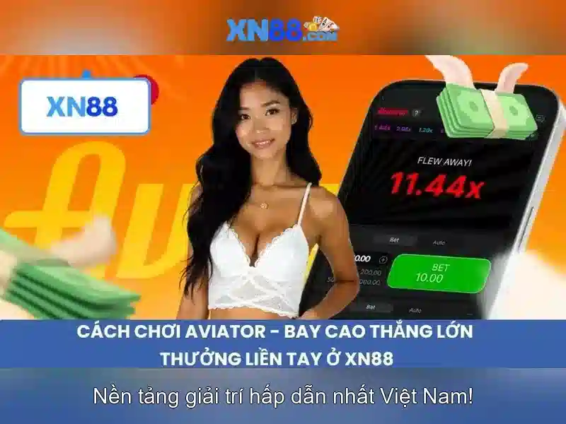 Cung cấp sản phẩm và dịch vụ