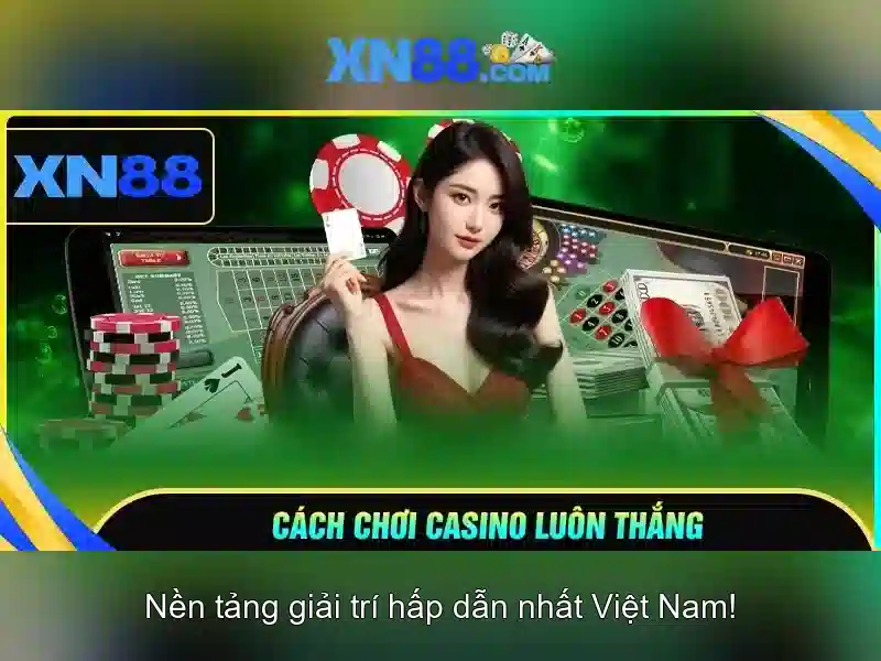 Khuyến mãi và hỗ trợ khách hàng
