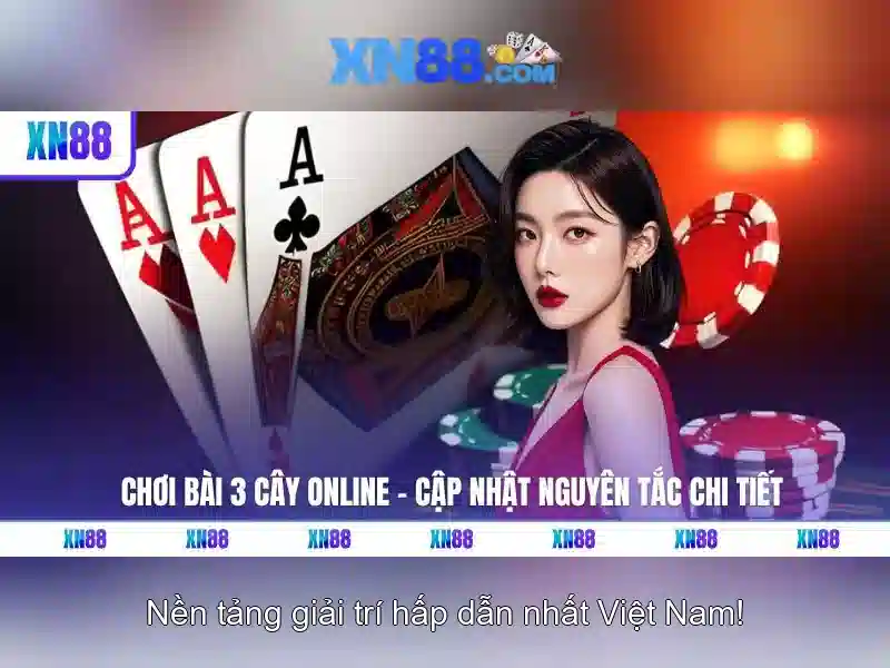 Giới thiệu về xn88