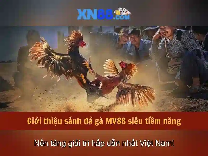 xn88: Nền tảng cá cược trực tuyến phổ biến