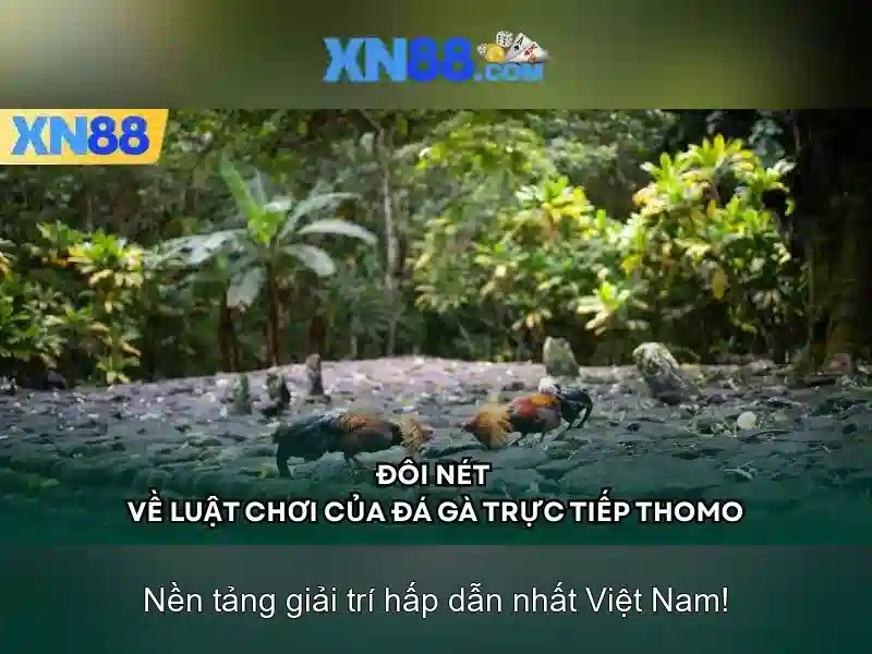Tính năng và ưu đãi
