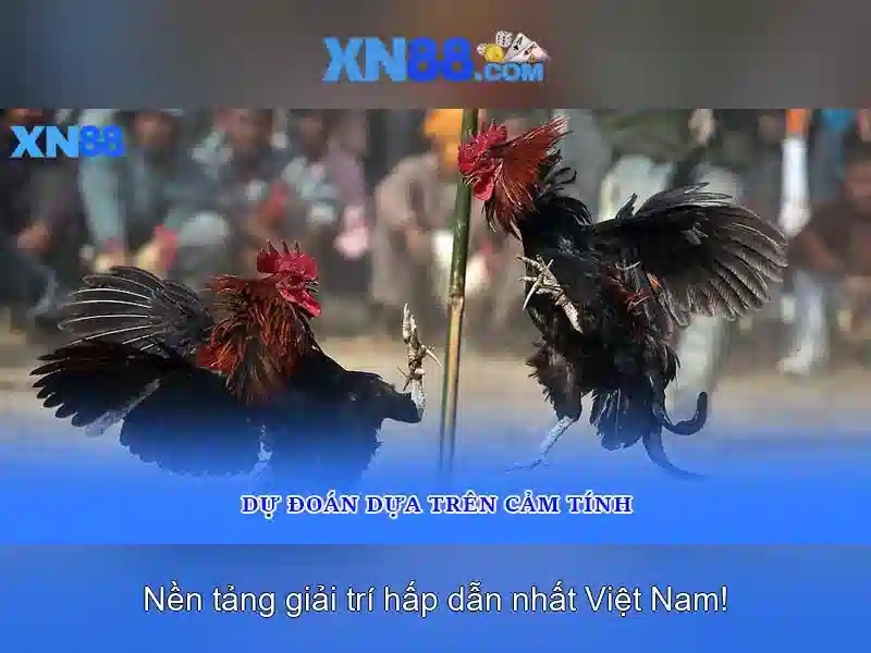 Giao diện nhà cái hoàn hảo