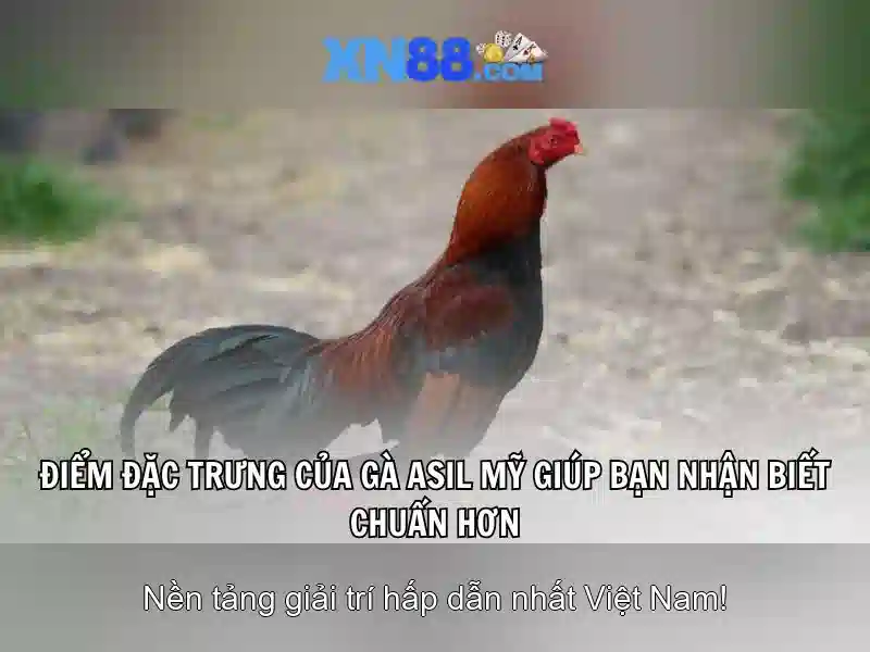 Hướng dẫn đăng ký và thanh toán<h2><b>Kết luận</b></h2><p><span style=