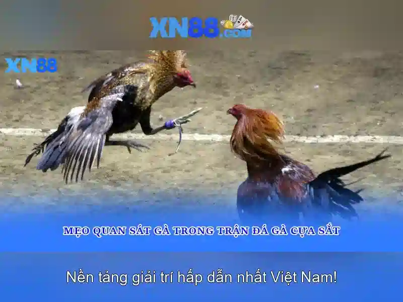 Nền tảng và trò chơi
