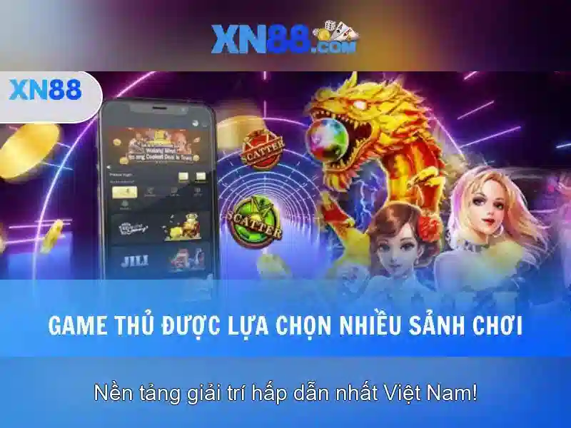 Trải nghiệm người dùng và phản hồi cộng đồng