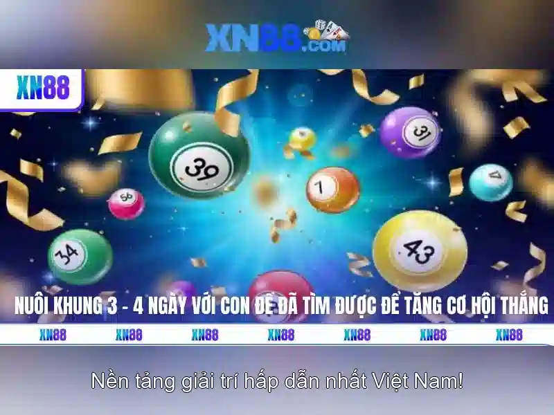 Giao diện nhà cái hoàn hảo