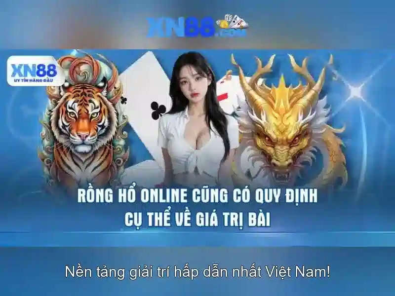 Giới thiệu về xn88