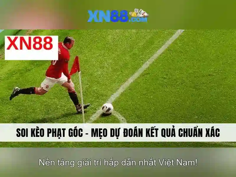 Các trò chơi và danh mục